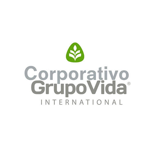 Corporativo Grupo Vida International