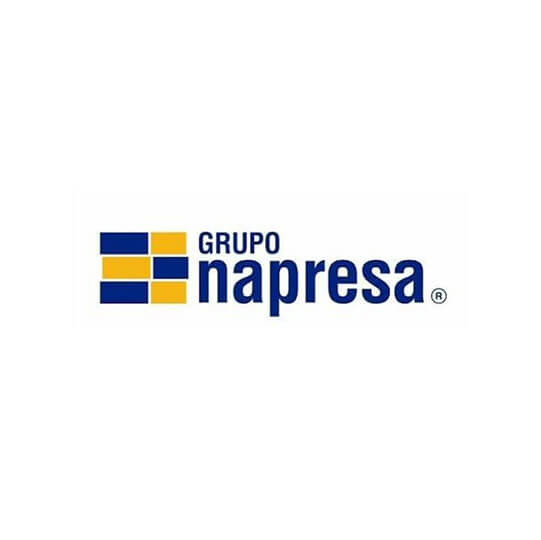 Grupo Napresa